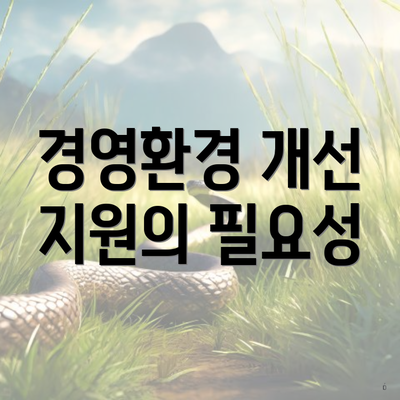 경영환경 개선 지원의 필요성