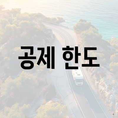 공제 한도