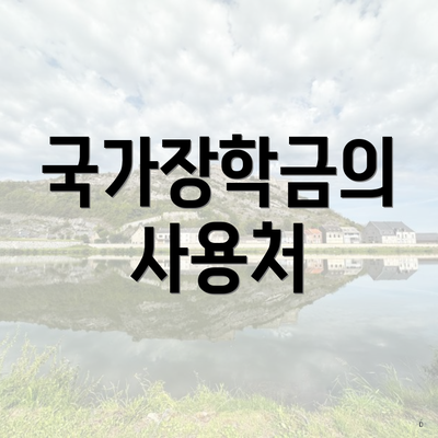 국가장학금의 사용처