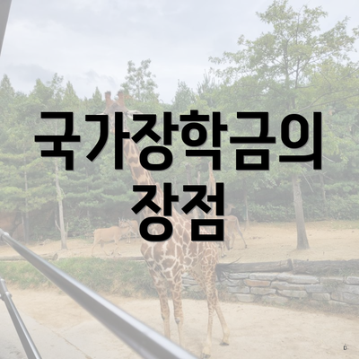 국가장학금의 장점