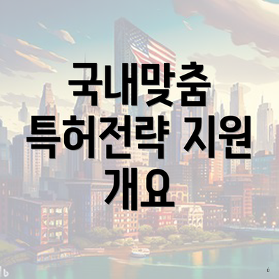 국내맞춤 특허전략 지원 개요