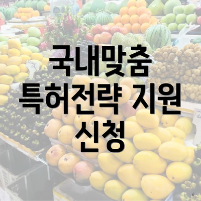 국내맞춤 특허전략 지원 신청