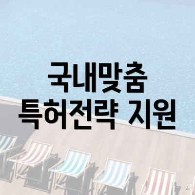 국내맞춤 특허전략 지원