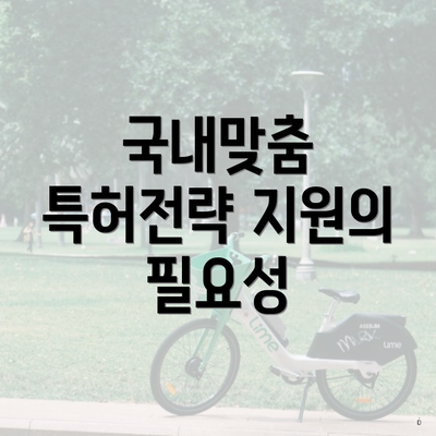 국내맞춤 특허전략 지원의 필요성
