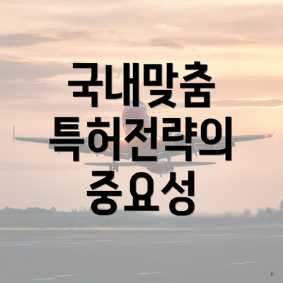 국내맞춤 특허전략의 중요성