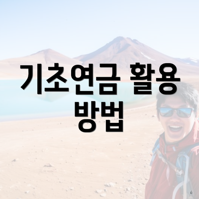 기초연금 활용 방법