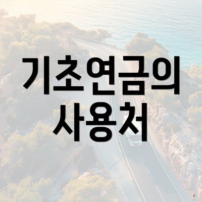 기초연금의 사용처