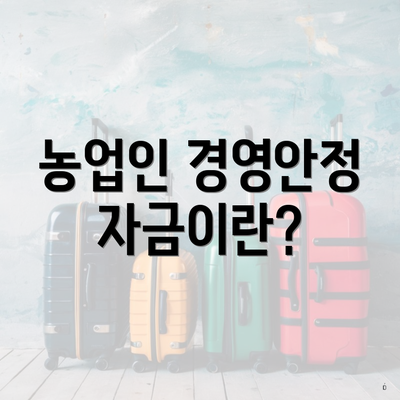 농업인 경영안정자금이란?