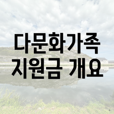 다문화가족 지원금 개요