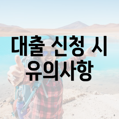 대출 신청 시 유의사항