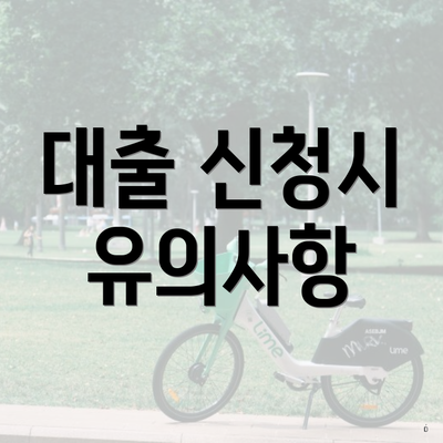 대출 신청시 유의사항