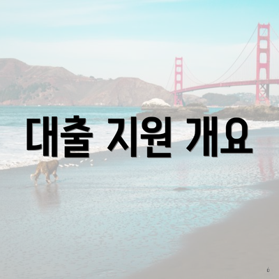 대출 지원 개요