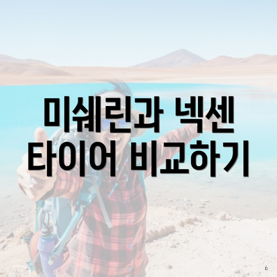 미쉐린과 넥센 타이어 비교하기