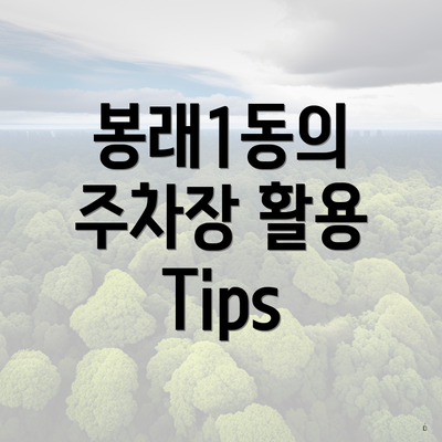 봉래1동의 주차장 활용 Tips