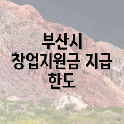 부산시 창업지원금 지급 한도