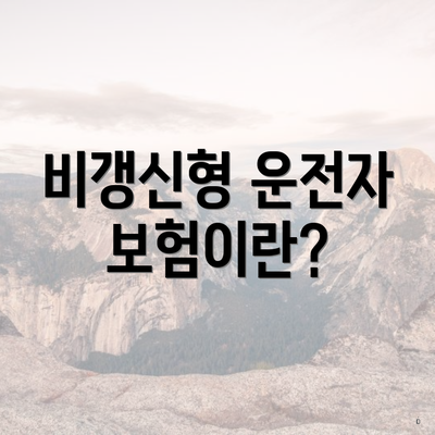 비갱신형 운전자 보험이란?