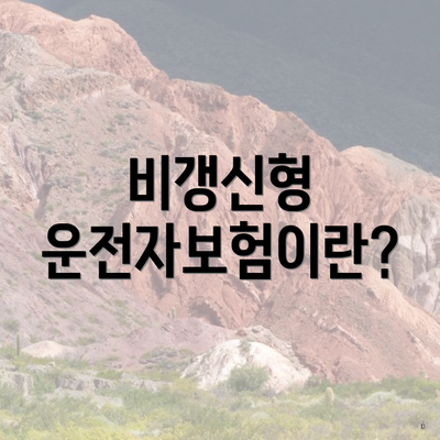 비갱신형 운전자보험이란?