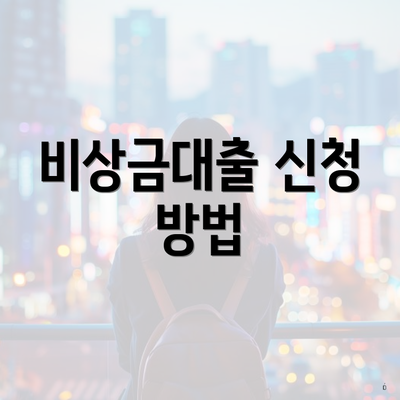 비상금대출 신청 방법