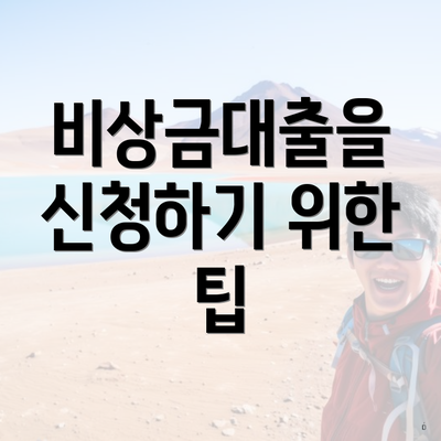 비상금대출을 신청하기 위한 팁
