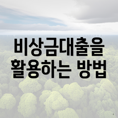 비상금대출을 활용하는 방법