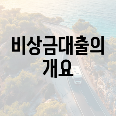 비상금대출의 개요