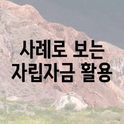 사례로 보는 자립자금 활용