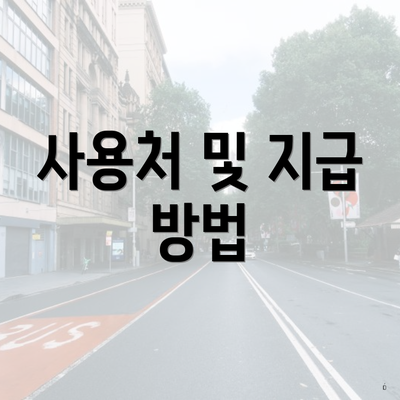 사용처 및 지급 방법