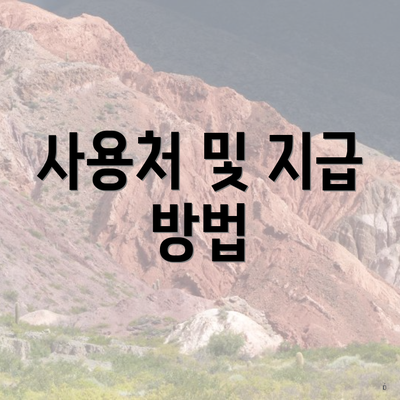 사용처 및 지급 방법