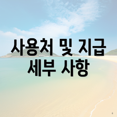 사용처 및 지급 세부 사항