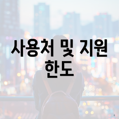 사용처 및 지원 한도