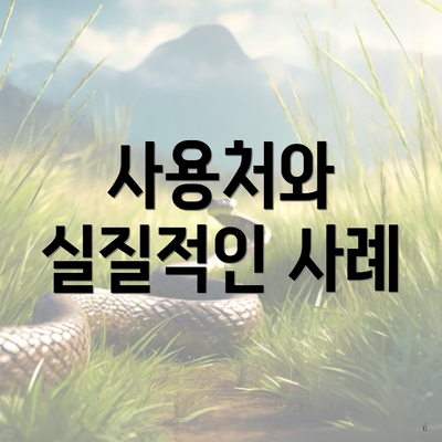 사용처와 실질적인 사례