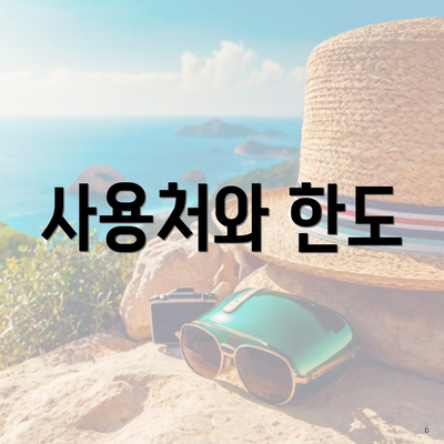 사용처와 한도