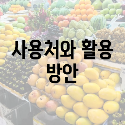 사용처와 활용 방안