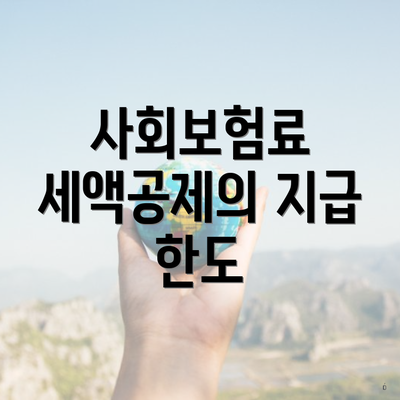 사회보험료 세액공제의 지급 한도