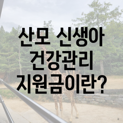 산모 신생아 건강관리 지원금이란?