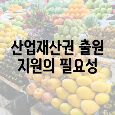 산업재산권 출원 지원의 필요성