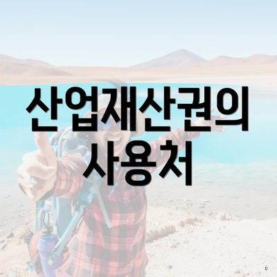 산업재산권의 사용처