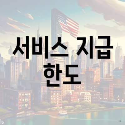 서비스 지급 한도