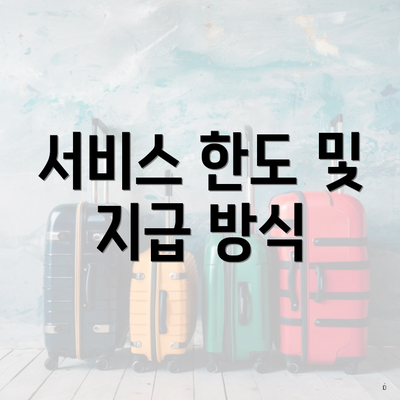 서비스 한도 및 지급 방식