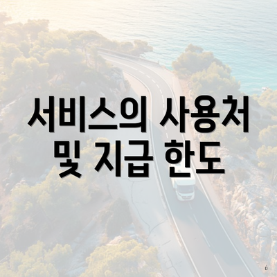 서비스의 사용처 및 지급 한도
