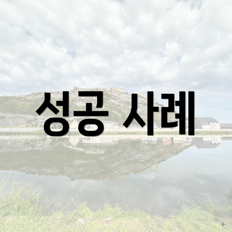 성공 사례