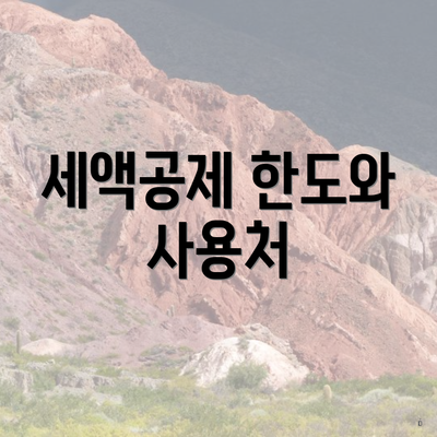 세액공제 한도와 사용처