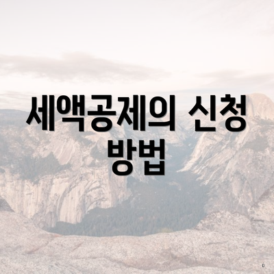 세액공제의 신청 방법