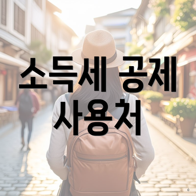 소득세 공제 사용처