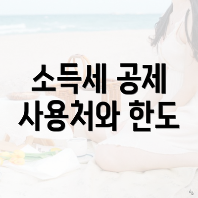 소득세 공제 사용처와 한도
