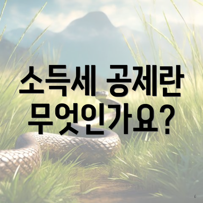 소득세 공제란 무엇인가요?
