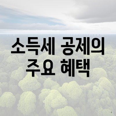 소득세 공제의 주요 혜택