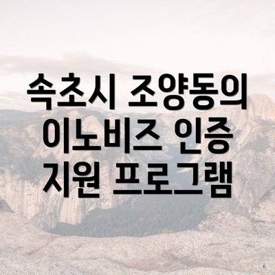 속초시 조양동의 이노비즈 인증 지원 프로그램
