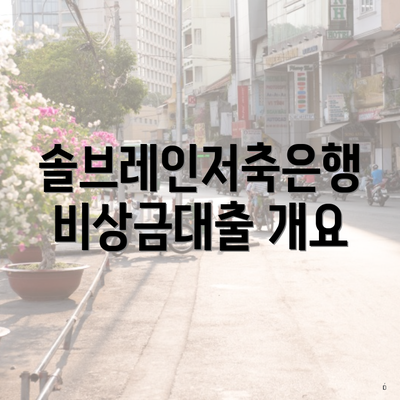 솔브레인저축은행 비상금대출 개요