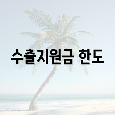 수출지원금 한도